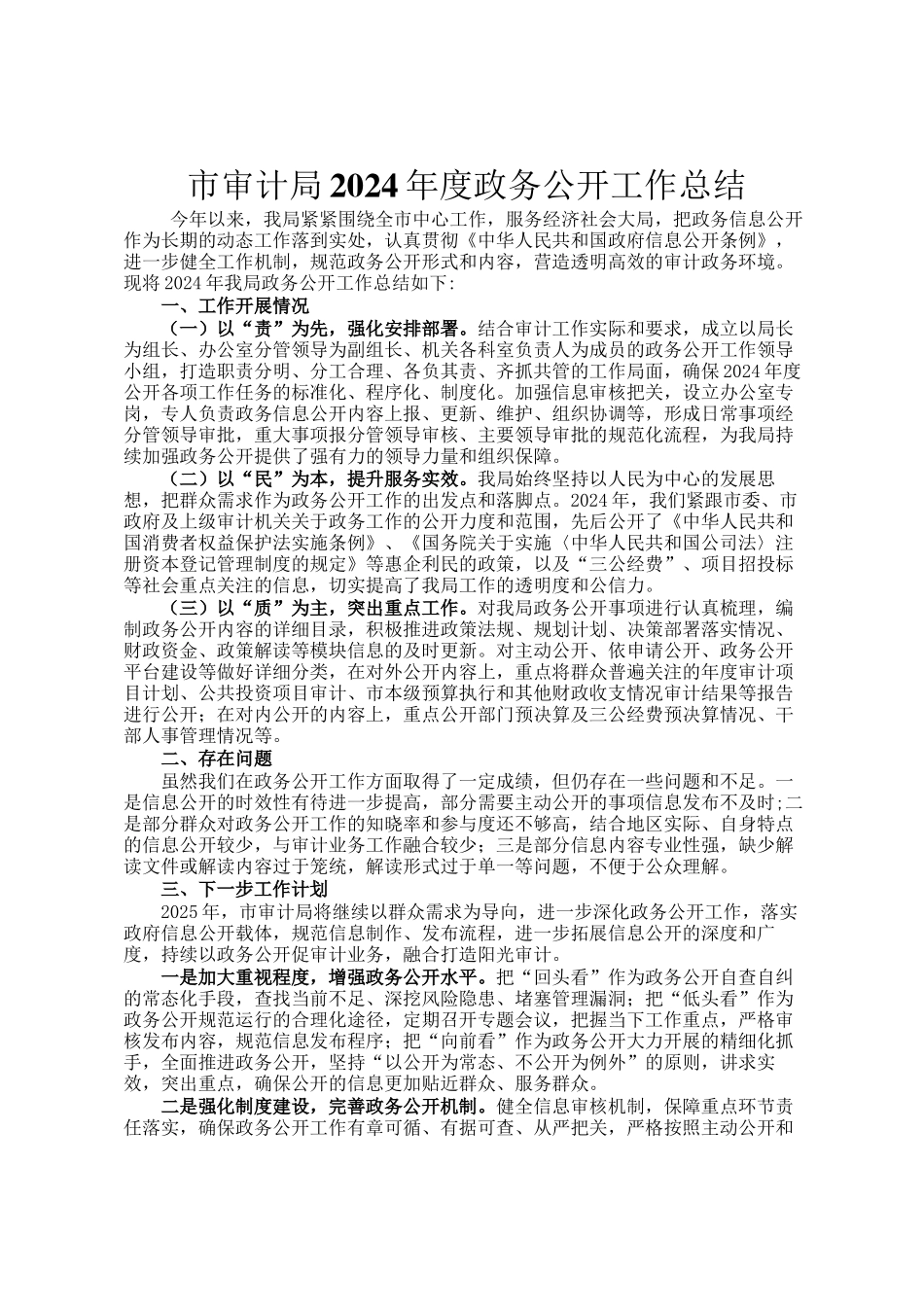 市审计局2024年度政务公开工作总结_第1页