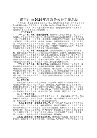 市审计局2024年度政务公开工作总结
