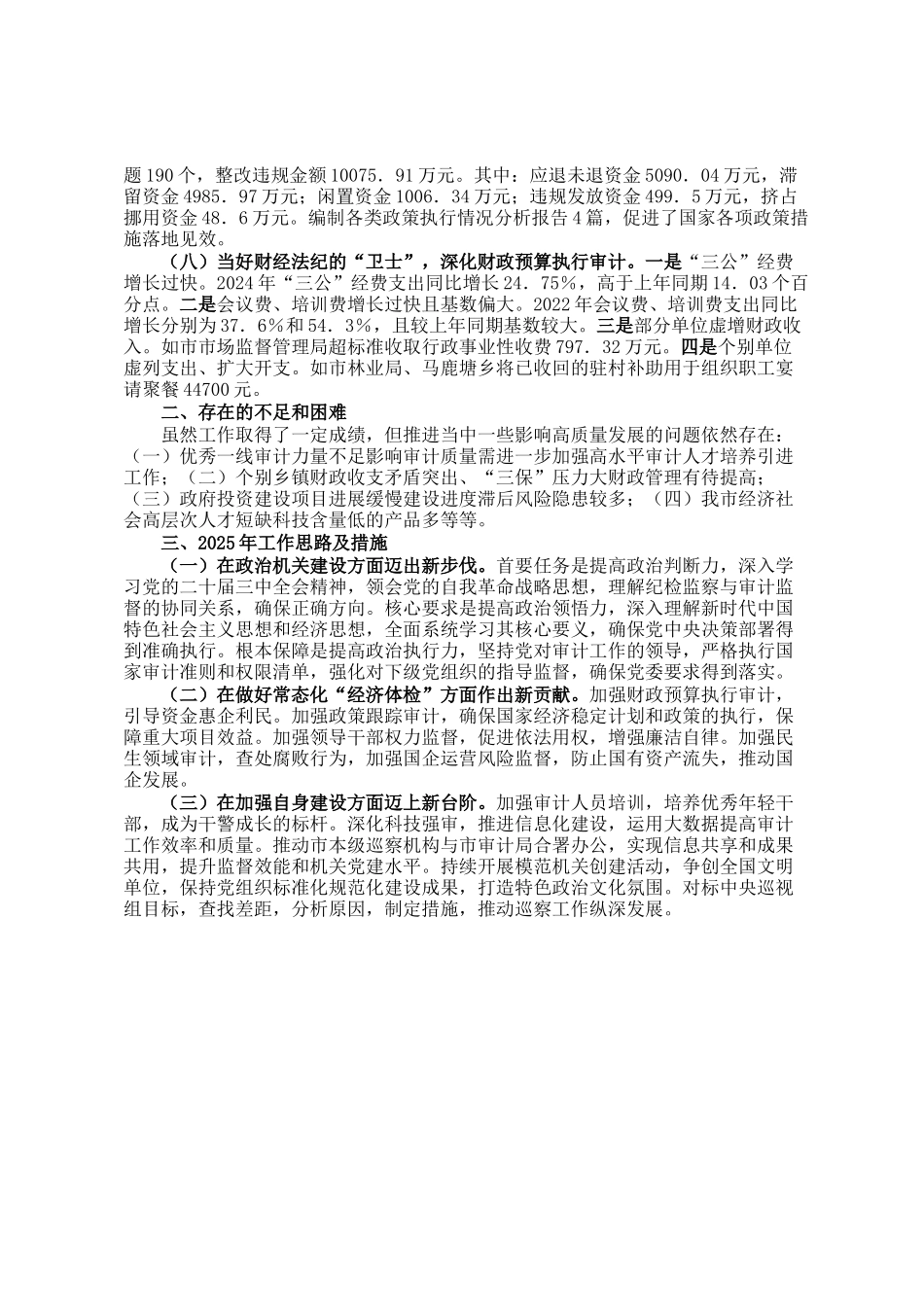 市审计局2024年工作情况总结及2025年下一步工作计划_第2页
