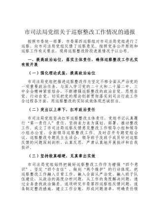 市司法局党组关于巡察整改工作情况的通报