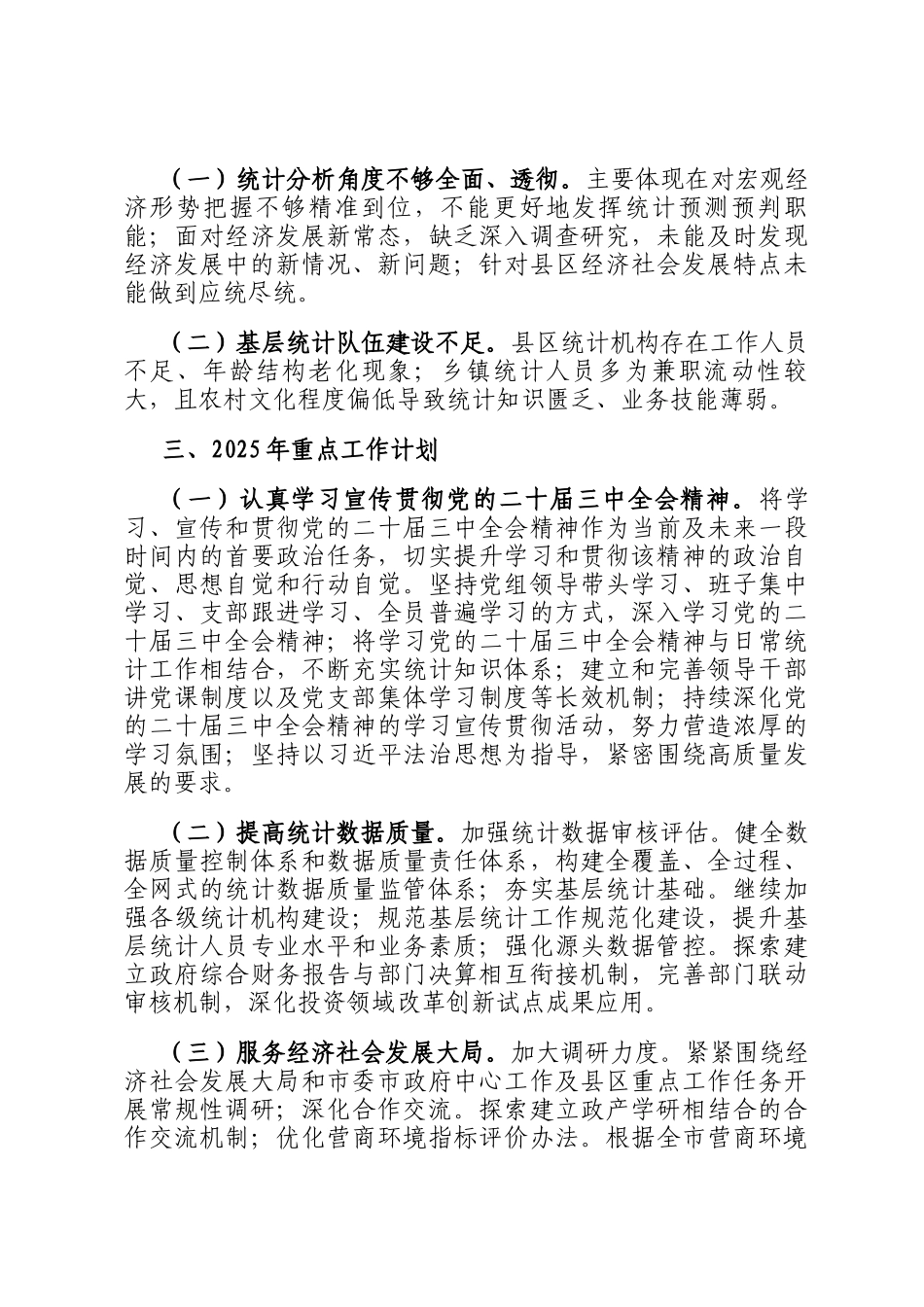 市统计局2024工作情况总结及2025年工作计划_第3页