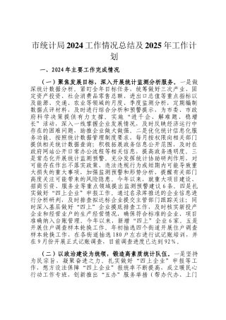 市统计局2024工作情况总结及2025年工作计划