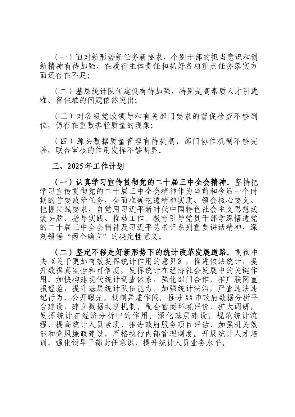 市统计局2024年工作总结及2025年工作计划_第3页