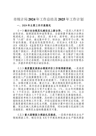 市统计局2024年工作总结及2025年工作计划