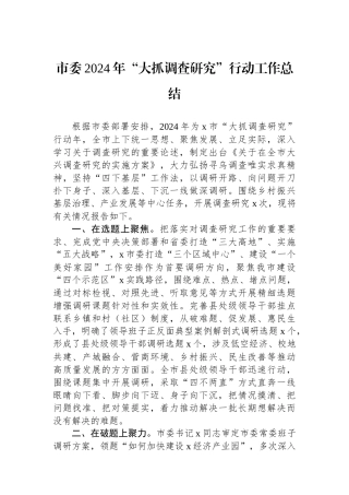 市委2024年“大抓调查研究”行动工作总结