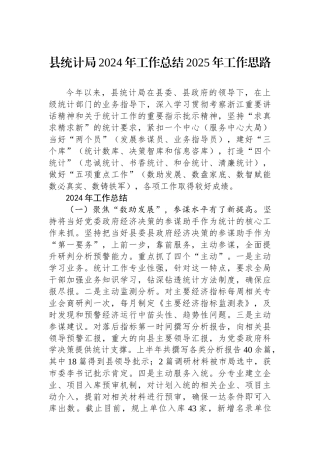 县统计局2024年工作总结2025年工作思路()