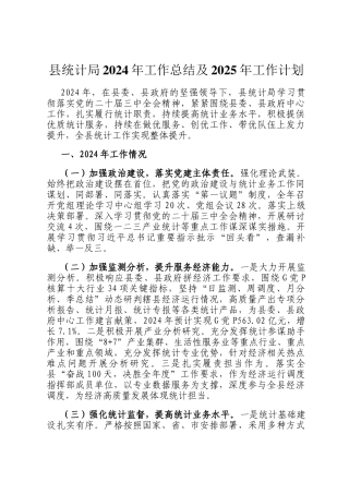 县统计局2024年工作总结及2025年工作计划
