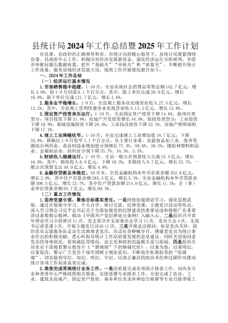 县统计局2024年工作总结暨2025年工作计划