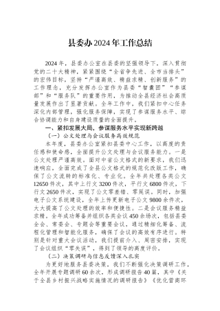 县委办2024年工作总结