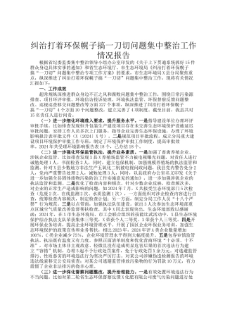纠治打着环保幌子搞一刀切问题集中整治工作情况报告