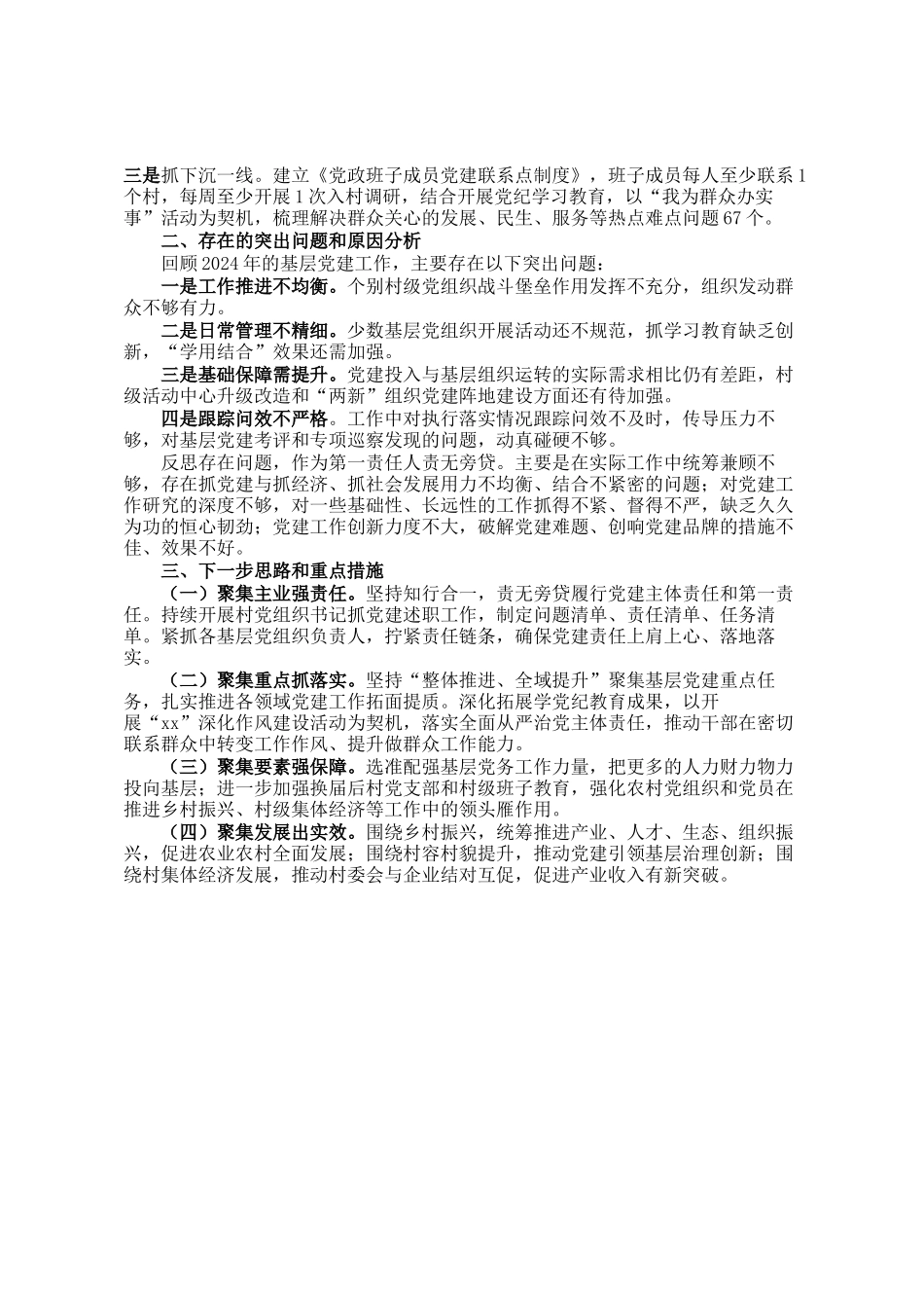 某村党支部书记2024年度抓基层党建工作述职报告_第2页