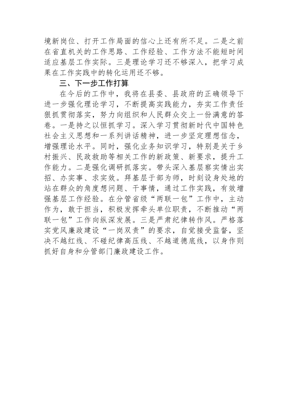 副县长2024年度个人述职报告(挂职)_第3页