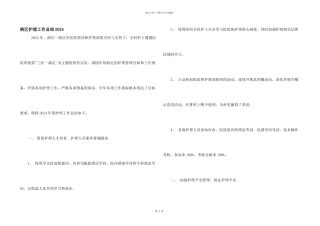 病区护理工作总结2024
