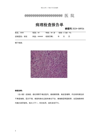 病理报告模版