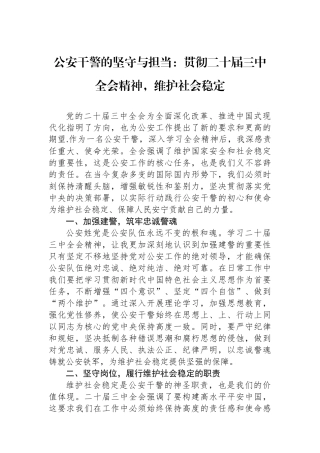 公安干警的坚守与担当：贯彻二十届三中全会精神，维护社会稳定