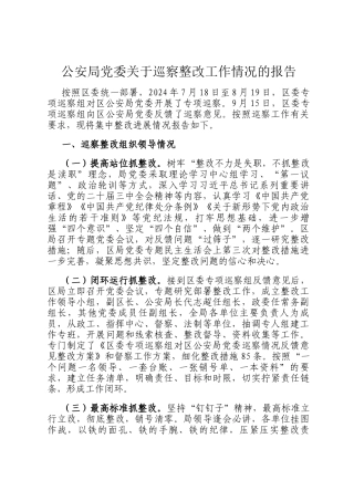 公安局党委关于巡察整改工作情况的报告