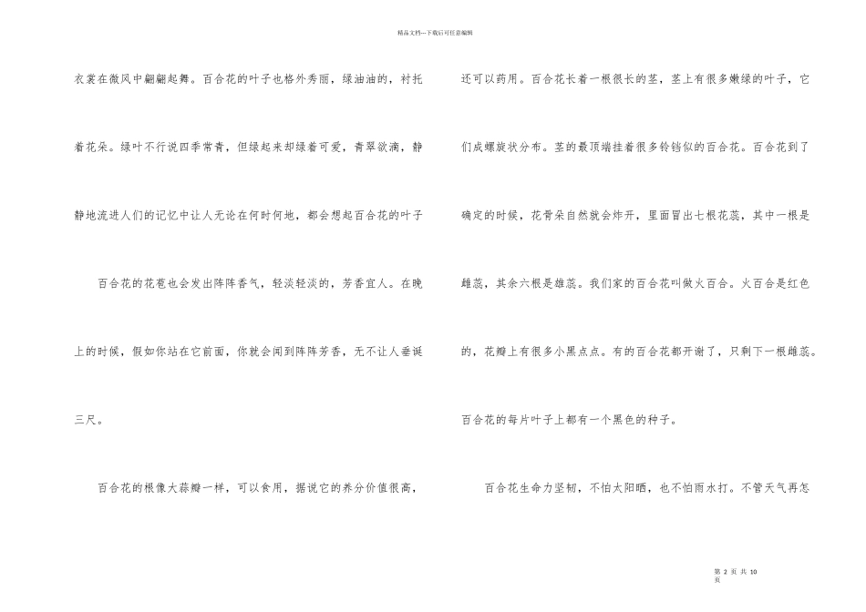百合花说明文600字_第2页