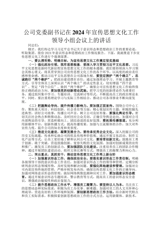 公司党委副书记在2024年宣传思想文化工作领导小组会议上的讲话