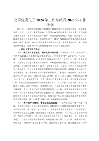 公司党委关于2024年工作总结及2025年工作计划