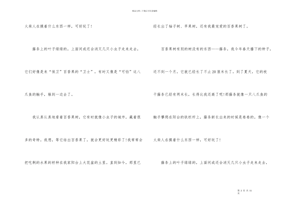 百香果说明文500字6篇_第2页