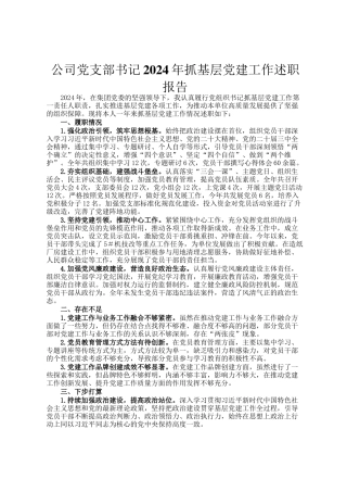 公司党支部书记2024年抓基层党建工作述职报告