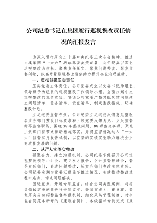 公司纪委书记在集团履行巡视整改责任情况的汇报发言