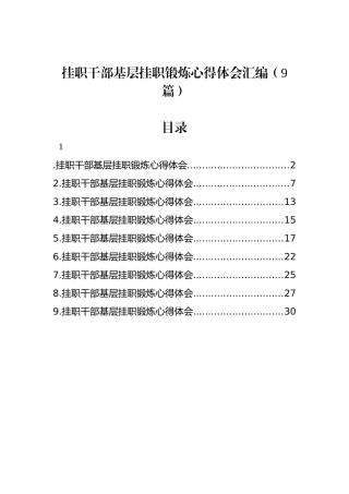 挂职干部基层挂职锻炼心得体会汇编（9篇）