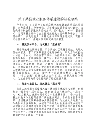 关于某县就业服务体系建设的经验总结