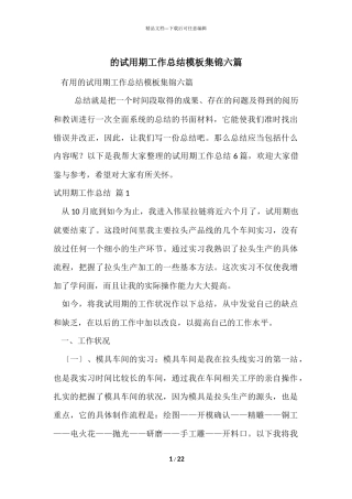 的试用期工作总结模板集锦六篇