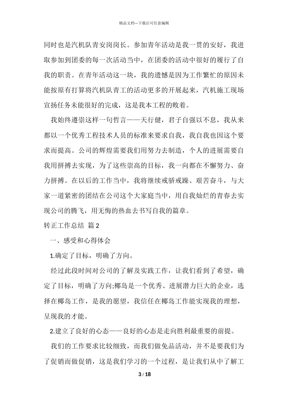 的转正工作总结模板锦集七篇_第3页