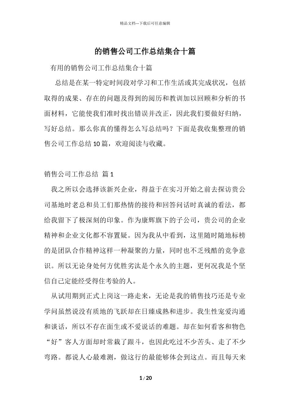 的销售公司工作总结集合十篇_第1页