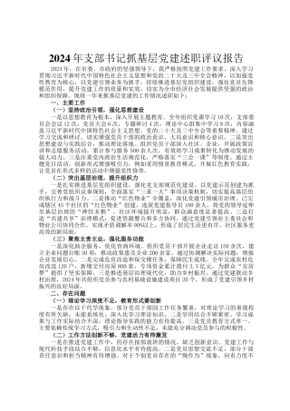 2024年支部书记抓基层党建述职评议报告