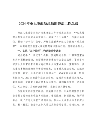 2024年重大事故隐患精准整治工作总结