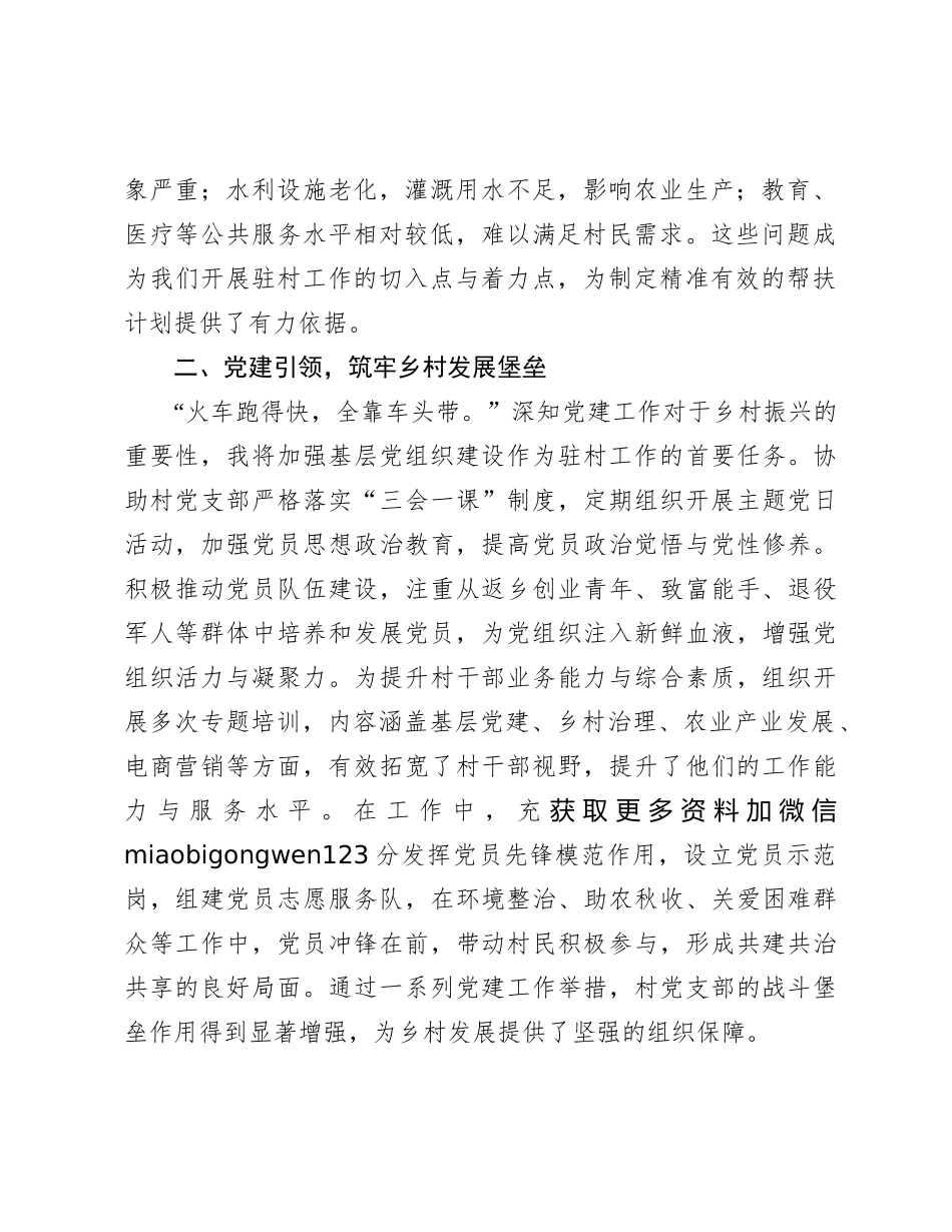 2024年驻村工作总结：情系乡村路，共筑振兴梦_第2页