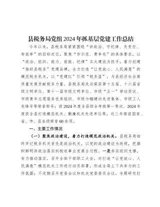 2024年抓基层党建工作总结（税务局党组）