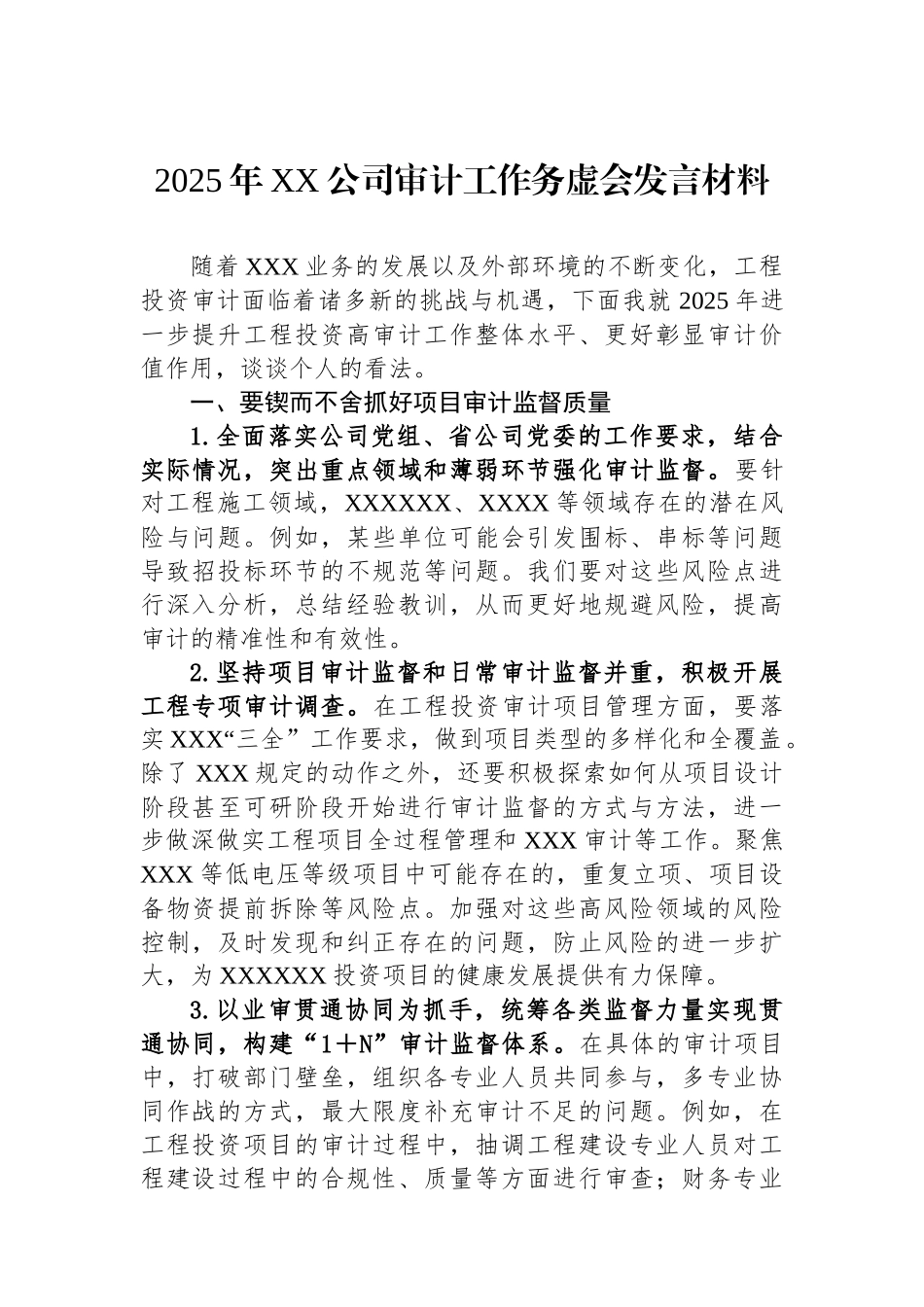 2025年XX公司审计工作务虚会发言材料_第1页
