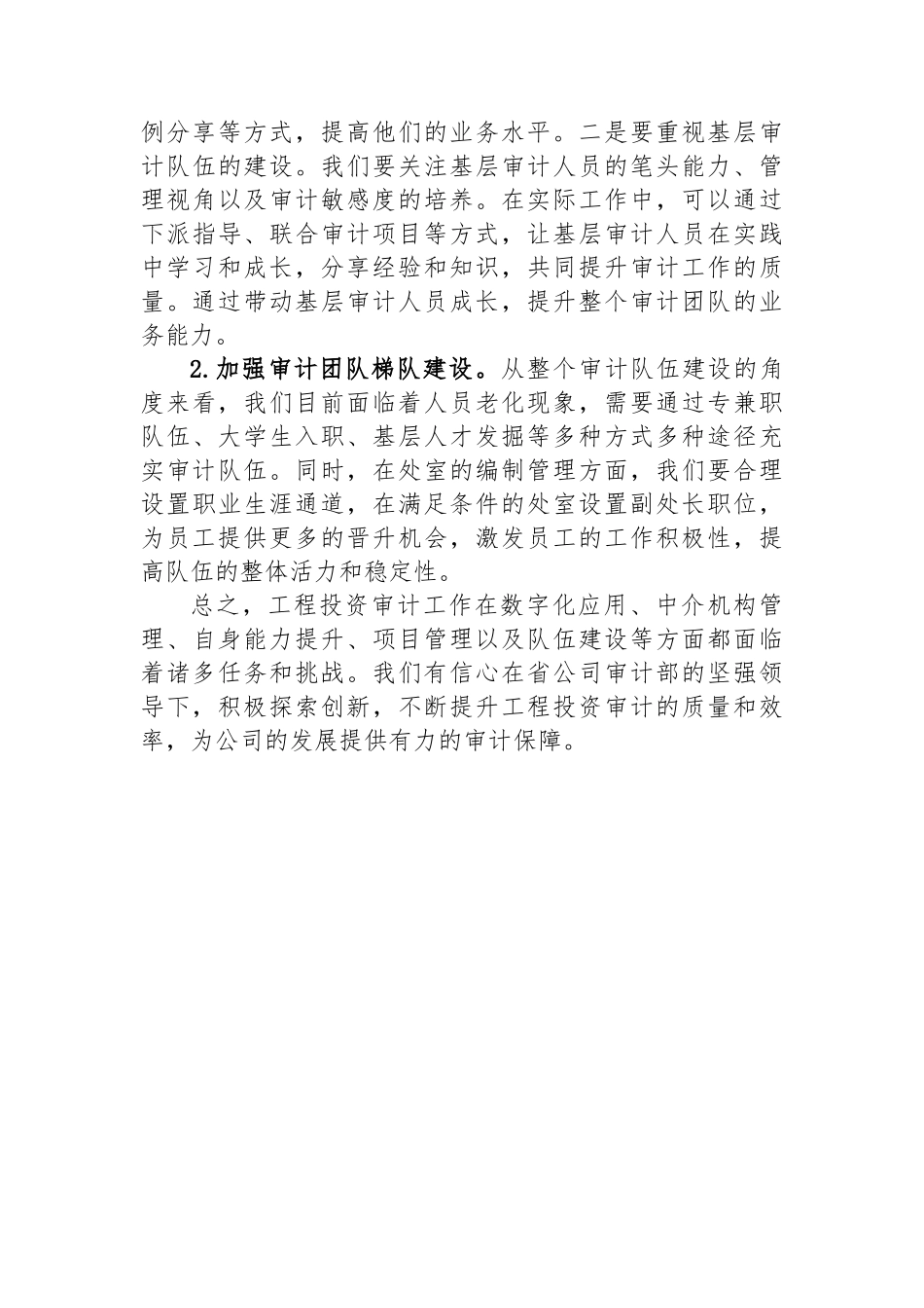 2025年XX公司审计工作务虚会发言材料_第3页