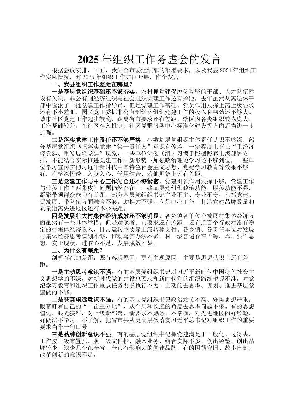 2025年组织工作务虚会的发言_第1页