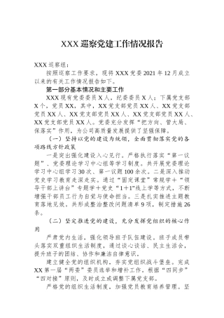 XXX巡察党建工作情况报告