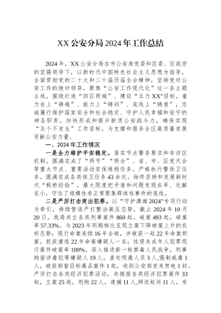 XX公安分局2024年工作总结（)