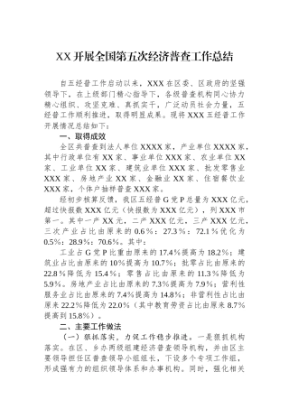 XX开展全国第五次经济普查工作总结