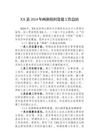 XX县2024年两新组织党建工作总结
