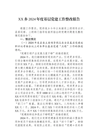 XX乡2024年度基层党建工作整改报告