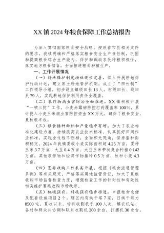 XX镇2024年粮食保障工作总结报告