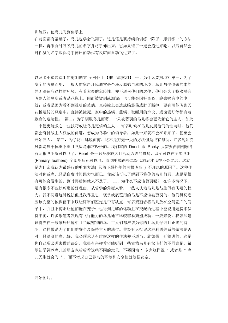 教你如何使手养鸟可以带出门不会飞走_第3页
