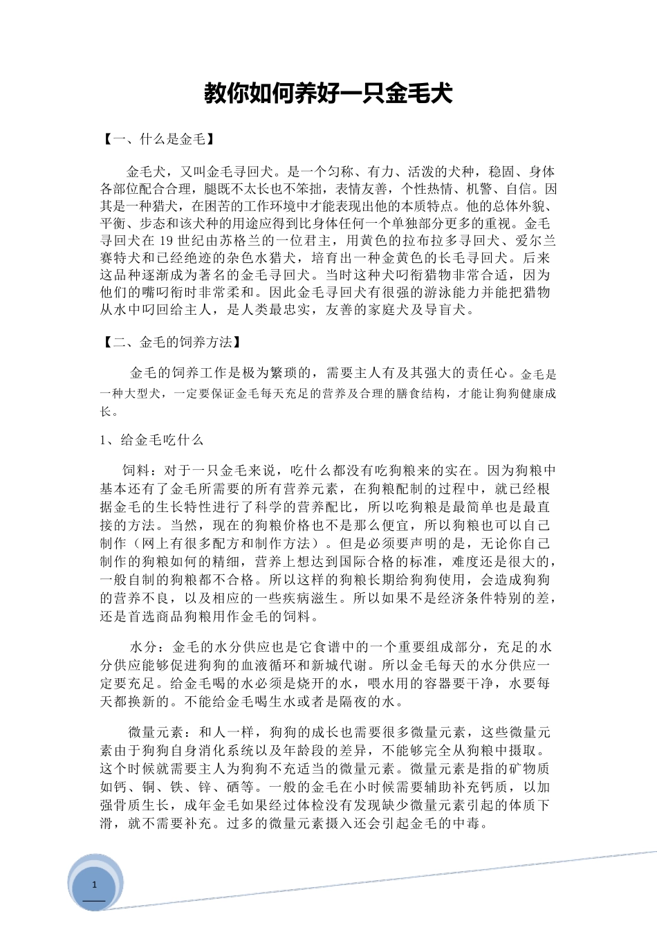 教你如何养好一只金毛犬_第1页