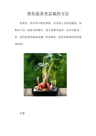 教你蔬菜变盆栽的方法