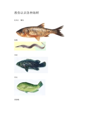 教你认识各种海鲜