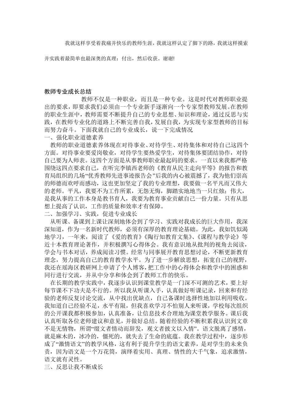教师专业成长总结_第3页