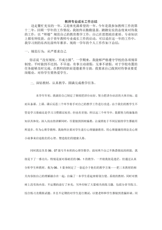 教师专业成长总结